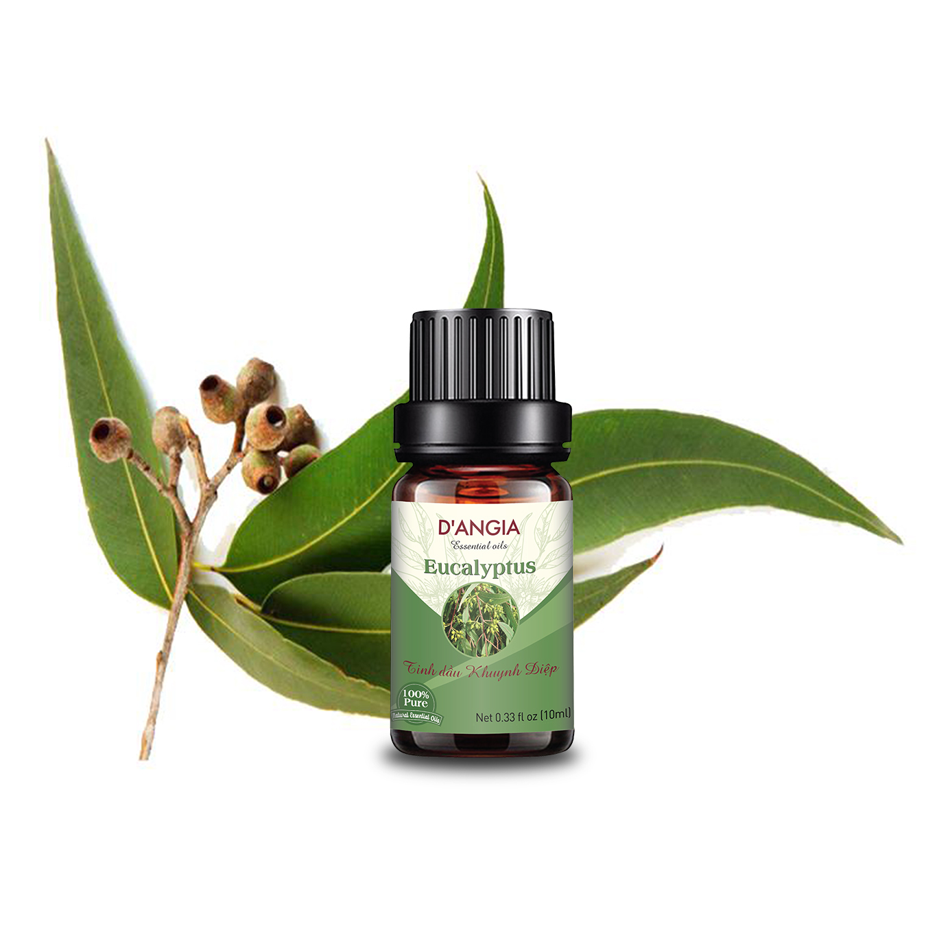 Tinh dầu Khuynh Diệp